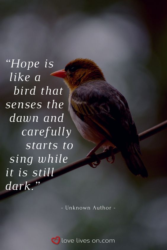 תקווה