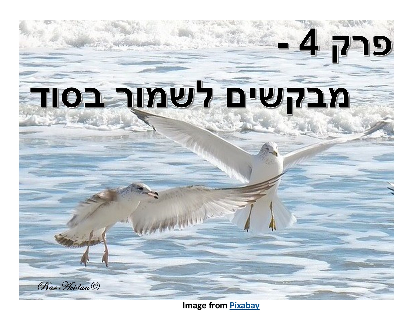 דמעותיה של דריה 4 – מבקשים לשמור בסוד