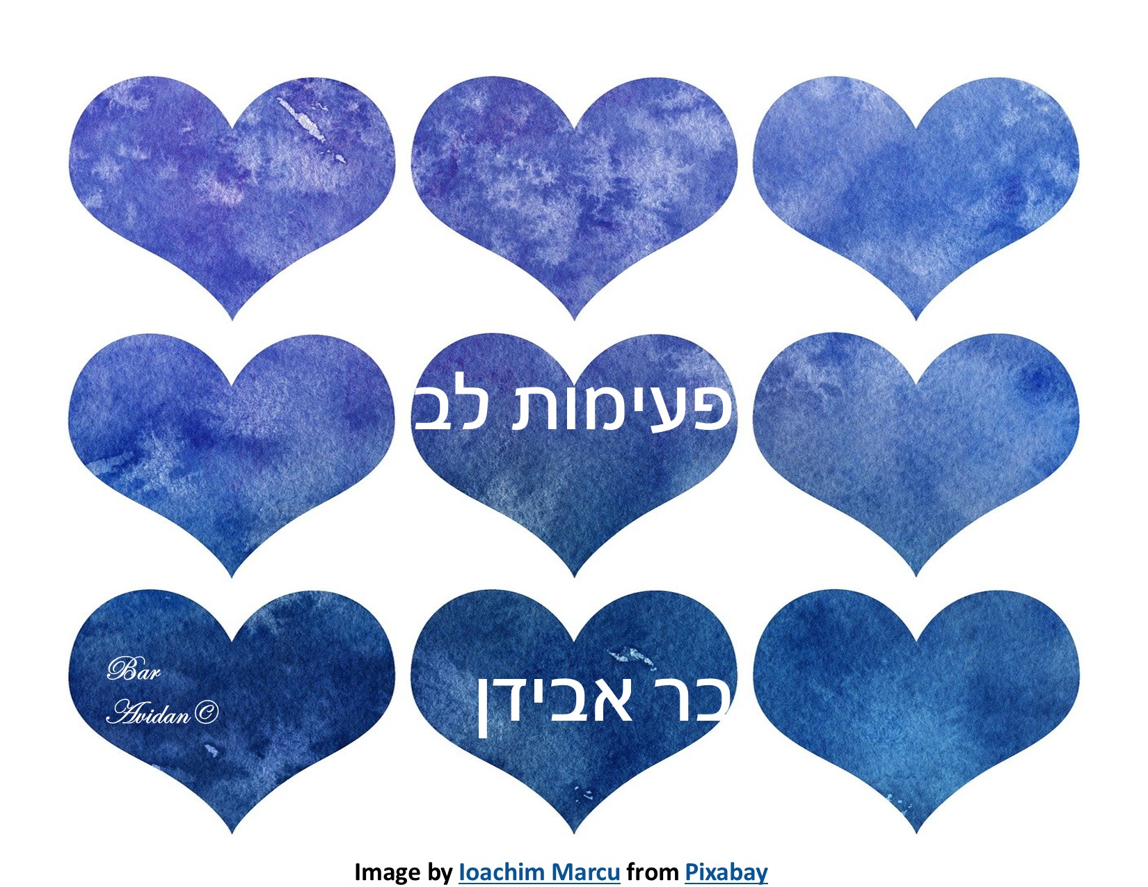 פעימות לב - בר אבידן מאמינה באהבה 2026
